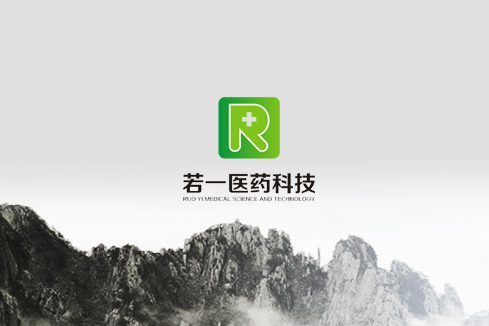 文山市建站-若一医药科技