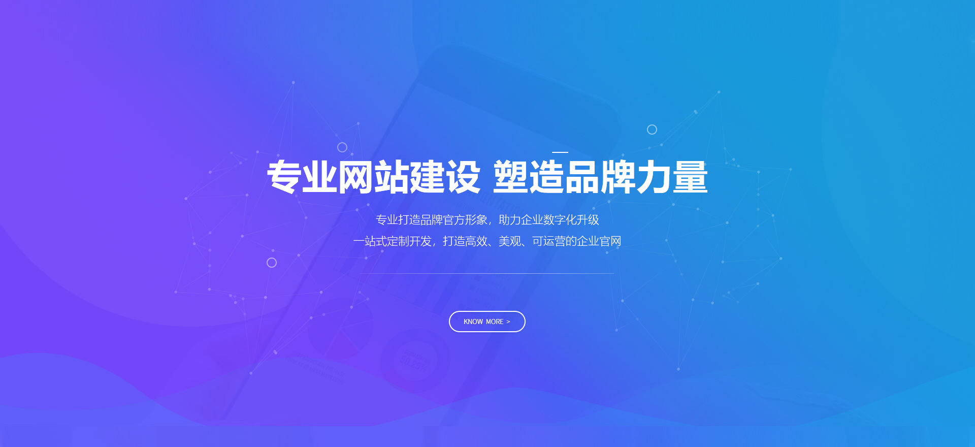 文山建站-专业网站建设 塑造品牌力量