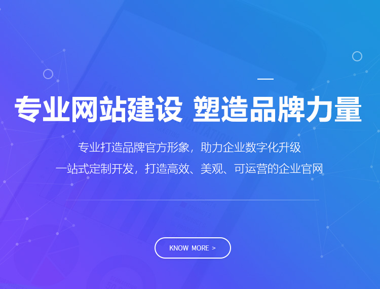 文山建站-专业网站建设 塑造品牌力量
